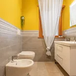 Rent 1 bedroom apartment in rome