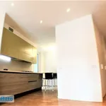 Rent 3 bedroom apartment of 115 m² in Milan