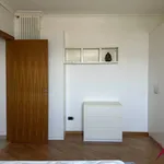 Rent 2 bedroom apartment of 60 m² in Napoli