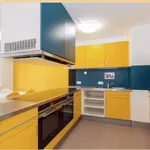 Rent 1 bedroom apartment in Vienna