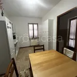 Rent 4 bedroom apartment of 110 m² in Piacenza