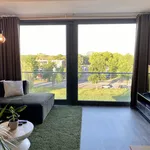 Studio van 538 m² in 's-Hertogenbosch