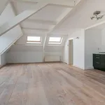 Huur 4 slaapkamer appartement van 149 m² in Willemspark