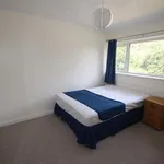 Rent 4 bedroom house in Canterbury