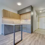 Rent 1 bedroom apartment of 27 m² in Plzeň