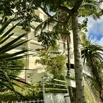 Rent 2 bedroom apartment of 41 m² in Belle pierre (97400)