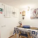 Rent 1 bedroom apartment in rome