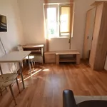 Rent 1 bedroom apartment of 15 m² in Timișoara