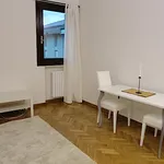 Rent 1 bedroom apartment of 45 m² in Padova