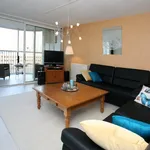 Huur 2 slaapkamer appartement van 90 m² in Den Haag