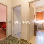 Rent 5 bedroom house of 110 m² in Pietrasanta