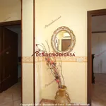 Rent 3 bedroom apartment of 80 m² in Bagheria