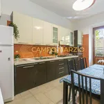 Rent 3 bedroom apartment of 90 m² in Roma