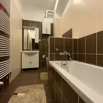 Rent 1 bedroom apartment of 52 m² in Chomutov