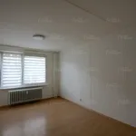 Rent 2 bedroom apartment in Trutnov