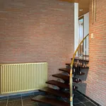 Rent 2 bedroom house of 918 m² in Nijlen