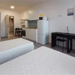 Rent 1 bedroom apartment in Brno