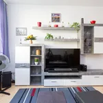 Rent 2 bedroom apartment of 33 m² in Halle (Saale)