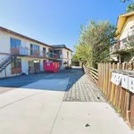 Rent 2 bedroom apartment in Albert-Eden