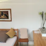 Rent 1 bedroom apartment of 27 m² in Düsseldorf