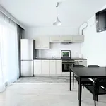 Rent 2 bedroom apartment of 45 m² in Wrocław