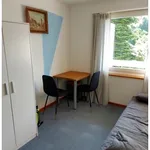 3 room apartment in Oetwil am See (ZH), furnished, temporary