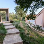 Single-family detached house via Silvio Pellico,, Centro, Peccioli