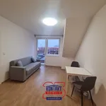 Rent 2 bedroom apartment in České Budějovice