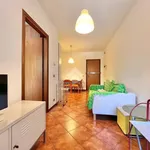 Rent 2 bedroom apartment of 41 m² in Castelfranco Veneto