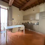 Rent 4 bedroom apartment of 120 m² in Firenze