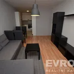 Rent 3 bedroom apartment of 66 m² in Capital City of Prague