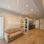 Rent 2 bedroom apartment of 55 m² in Turin