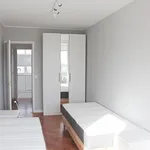 HOUSING PORTUGAL-Single Bedroom in renovated 5 Bedroom Apartment. Room 2