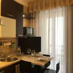 Rent 2 bedroom apartment of 40 m² in Pisa