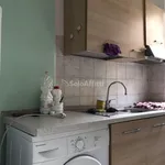 Rent 3 bedroom apartment of 80 m² in torino