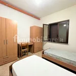 Rent 3 bedroom apartment of 70 m² in Catanzaro