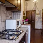 Rent 1 bedroom apartment of 50 m² in rome