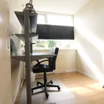 Rent 3 bedroom house of 109 m² in Eindhoven