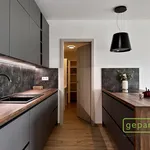 Rent 2 bedroom apartment in Olomouc