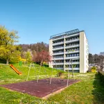 Miete 4 Schlafzimmer wohnung von 88 m² in Rudolfstetten