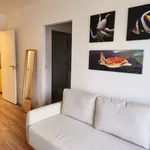 Rent 1 bedroom apartment in Etterbeek