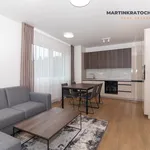 Rent 3 bedroom apartment of 64 m² in Prague