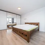 Rent 3 bedroom apartment in Třinec