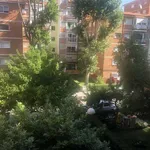 Rent a room in Madrid