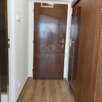 Rent 1 bedroom apartment of 20 m² in Prague