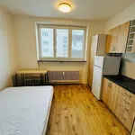 Rent 1 bedroom apartment of 15 m² in Zlín