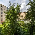 Rent 2 bedroom apartment of 50 m² in Praha 10 - Vinohrady