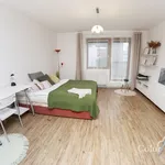 Rent 1 bedroom apartment of 30 m² in Brno