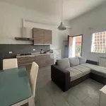 Rent 3 bedroom apartment of 60 m² in Roma