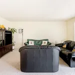 Rent 1 bedroom apartment in San Jose